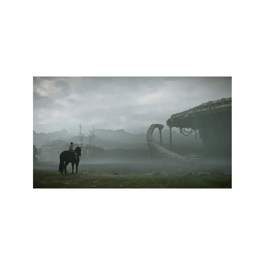 Shadow of the Colossus /PS4 (Русские субтитры)