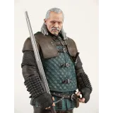 Фигурка The Witcher 3 Wild Hunt Vesemir 21 см 0761568009996