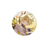 Значок Хонкай Phainon Фаенон 6942421186960