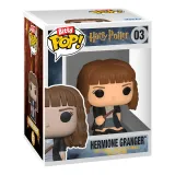 Набор Funko Bitty POP! Bitty Box Harry Potter Hogwarts Castle (BF) (Exc) 11шт 95387