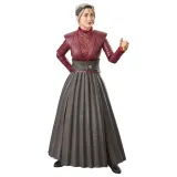 Фигурка Star Wars The Black Series Morgan Elsbeth HSB244