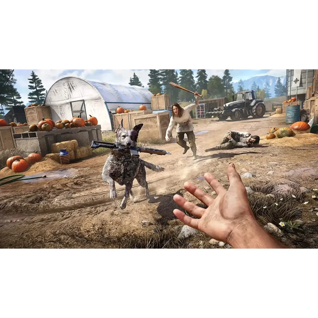 Far Cry 5 /PS4 Русский перевод