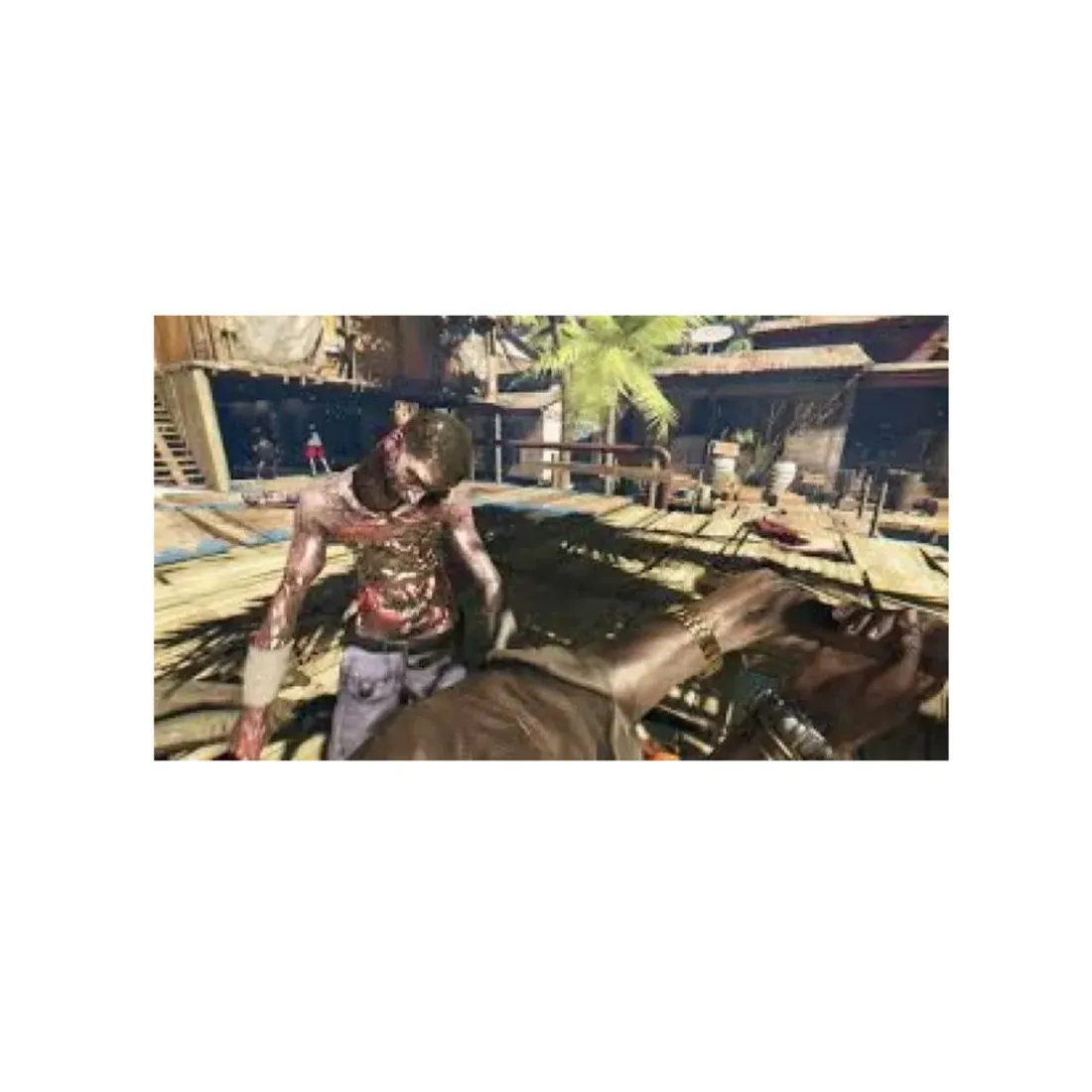 Dead Island - Definitive Collection /PS4 Русские субтитры