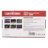 Retro Genesis Port 2000 (BL-862, 3,5 дюйма экран, 10 эмуляторов, черная, 3000+ игр, сохранения)