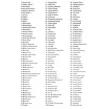 Игровая приставка 16-бит DVTech MD 300 игр