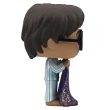Фигурка Funko POP! Harry Potter S10 Harry Potter with Invisibility Cloak (112) 48063