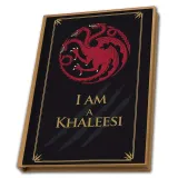 Набор подарочный Game Of Thrones Targaryen Кружка 250мл+Брелок+Блокнот ABYPCK165