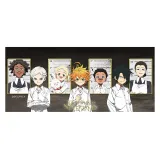 Кружка The Promised Neverland Mug 320 ml Grace Field House subli x2 ABYMUG764