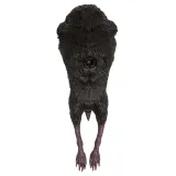 Фигурка DC Batman Forever The Riddler Wv13 18 см 787926156683