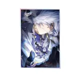 Шикиши Honkai Воскресенье Sunday Light cone series A Grounded Ascent 58943