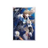 Доска Шикиши Light Cone Moment of Victory Gepard 6976068148517