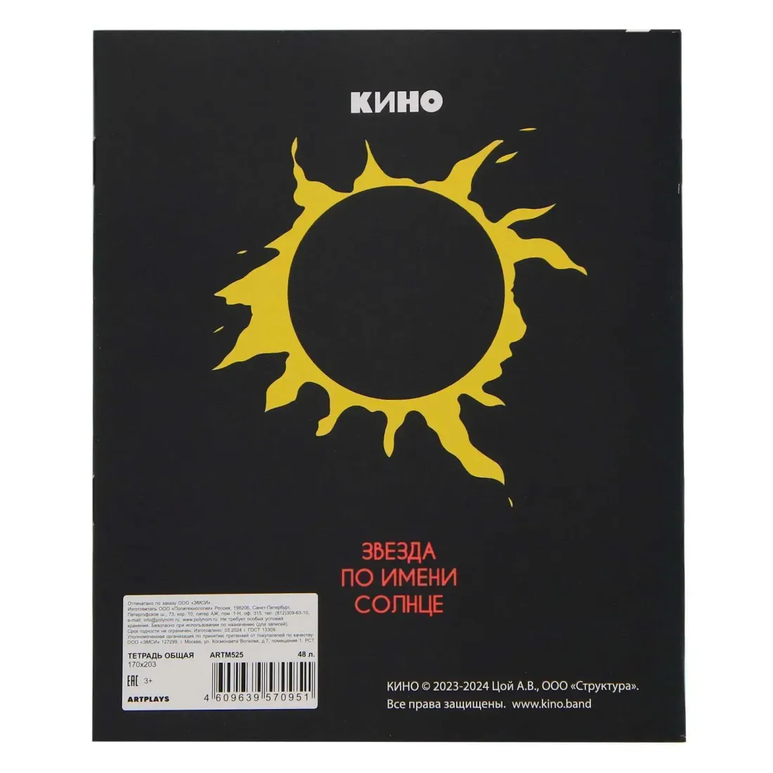Тетрадь КИНО 48 л. V6
