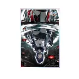 Шикиши Honkai RPG Black Swan Walking Along the Fading Shores 6942421116325