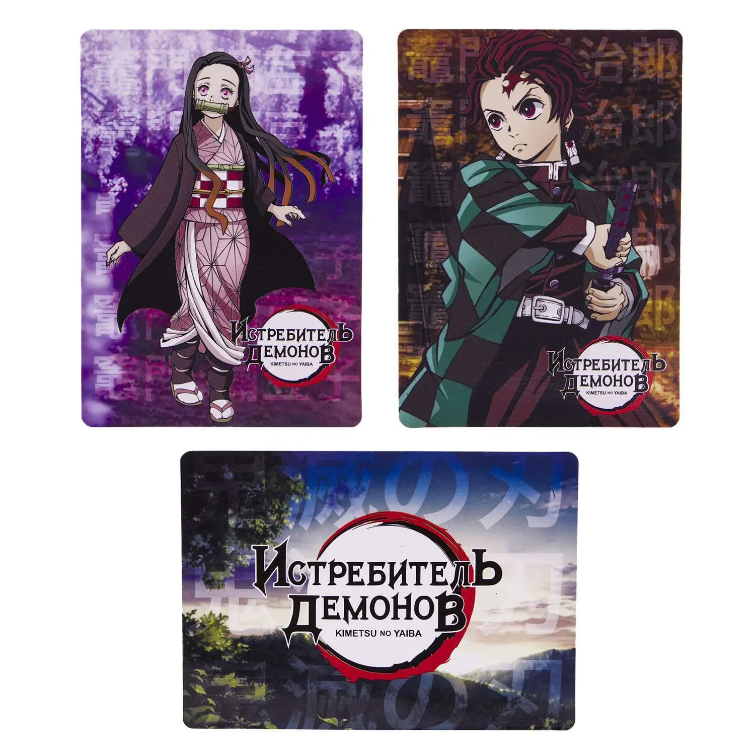 Набор магнитов Истребитель Демонов