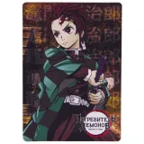 Набор магнитов Истребитель Демонов