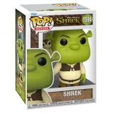 Фигурка Funko POP! Movies Shrek DW 30th Shrek w/Snake (1594) 81176